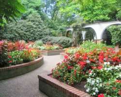 There are over 25 varieties of roses including delicate miniatures and showy floribunda. Different types of herbs in the small herb garden. You can al